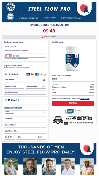 Steel Flow Pro Secured Checkout Form